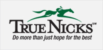 Pleasant Acres Stallions - True Nicks
